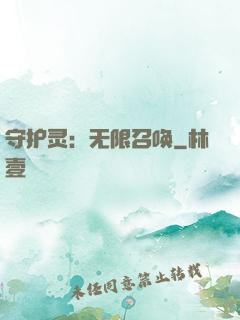 守护灵：无限召唤
