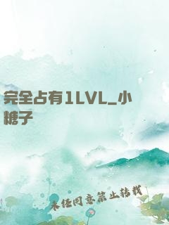 完全占有1LVL