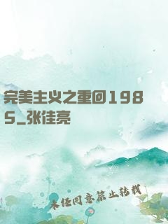 完美主义之重回1985