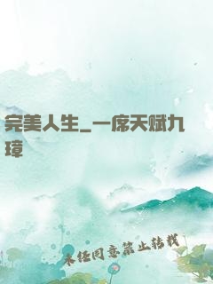 完美人生