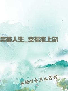 完美人生