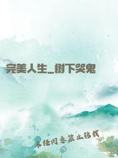 完美人生