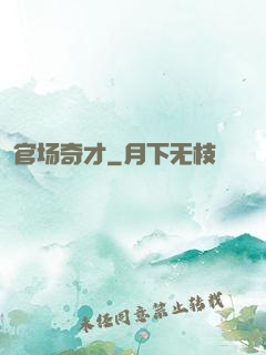 官场奇才