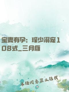 宝妻有孕：琛少溺宠108式