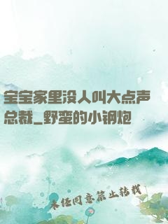 宝宝家里没人叫大点声总裁