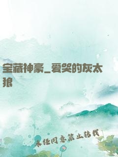宝藏神豪