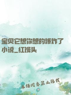 宝贝它想你想的爆炸了小说