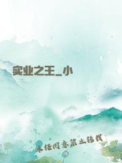 实业之王