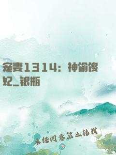 宠妻1314：神偷傻妃