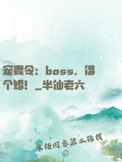 宠妻令：boss，借个婚！