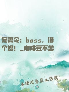 宠妻令：boss，借个婚！