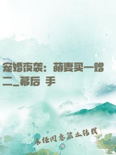 宠婚夜袭：萌妻买一赠二