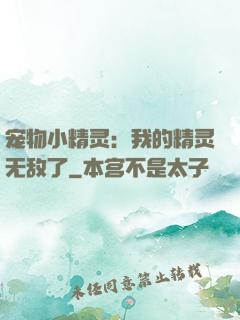 宠物小精灵：我的精灵无敌了