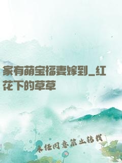 家有萌宝福妻嫁到