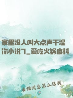 家里没人叫大点声干湿你小说7