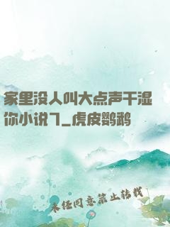家里没人叫大点声干湿你小说7