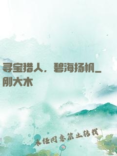 寻宝猎人，碧海扬帆