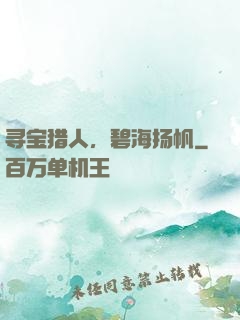 寻宝猎人，碧海扬帆