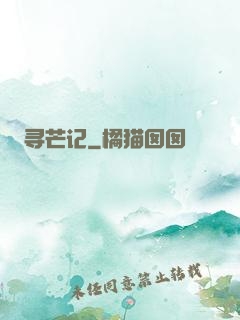 寻芒记