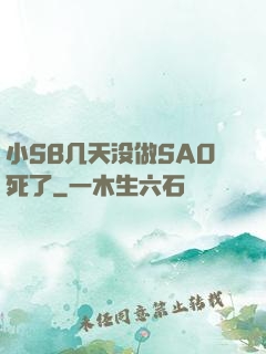 小SB几天没做SAO死了