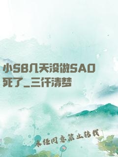 小SB几天没做SAO死了