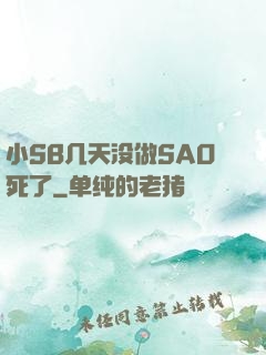小SB几天没做SAO死了