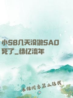 小SB几天没做SAO死了