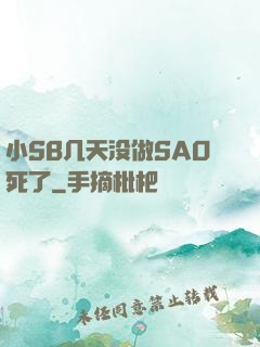 小SB几天没做SAO死了