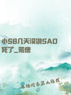 小SB几天没做SAO死了