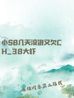 小SB几天没做又欠CH