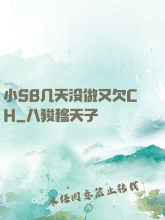 小SB几天没做又欠CH