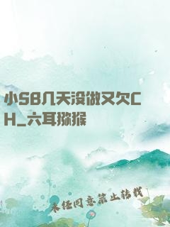 小SB几天没做又欠CH