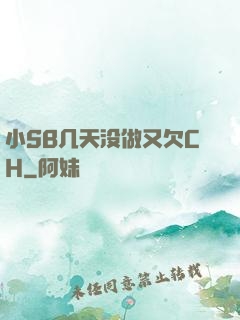 小SB几天没做又欠CH