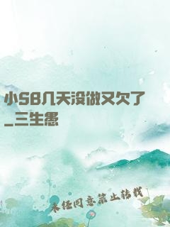 小SB几天没做又欠了