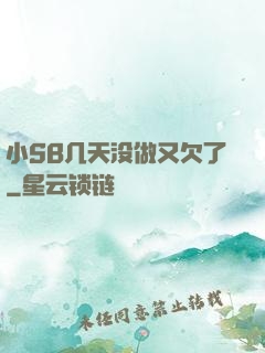 小SB几天没做又欠了