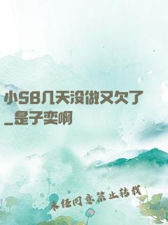 小SB几天没做又欠了