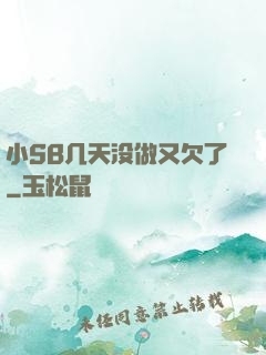 小SB几天没做又欠了