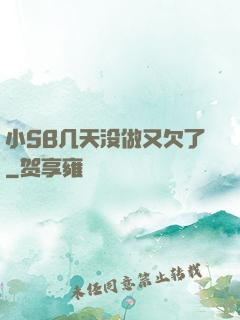 小SB几天没做又欠了