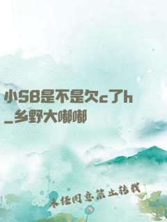 小SB是不是欠c了h