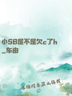 小SB是不是欠c了h