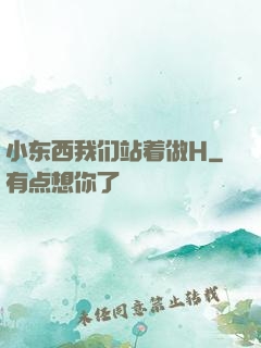 小东西我们站着做H