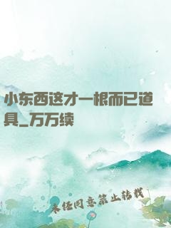 小东西这才一根而已道具