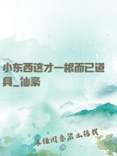 小东西这才一根而已道具