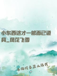 小东西这才一根而已道具