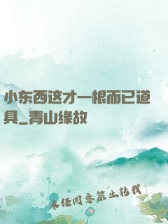 小东西这才一根而已道具