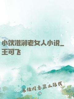 小伙滋润老女人小说