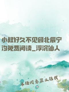 小叔好久不见顾北辰宁汐免费阅读