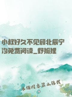 小叔好久不见顾北辰宁汐免费阅读