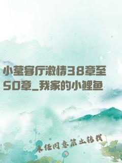 小莹客厅激情38章至50章