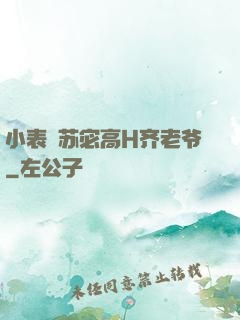 小表妺苏宓高H齐老爷